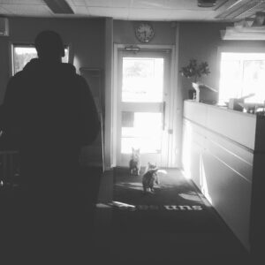 Sunsafe office inside