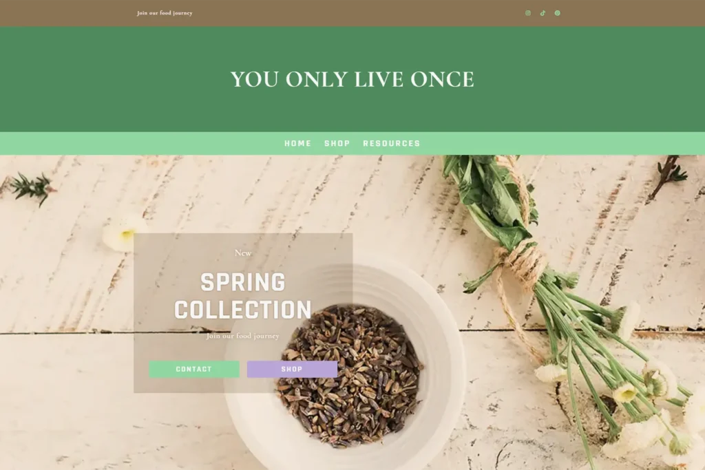 You Only Live Once website screenshot