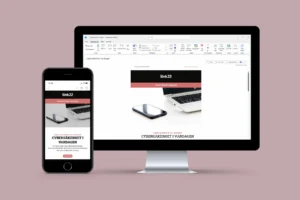 link22 Mailchimp Newsletter (2022)