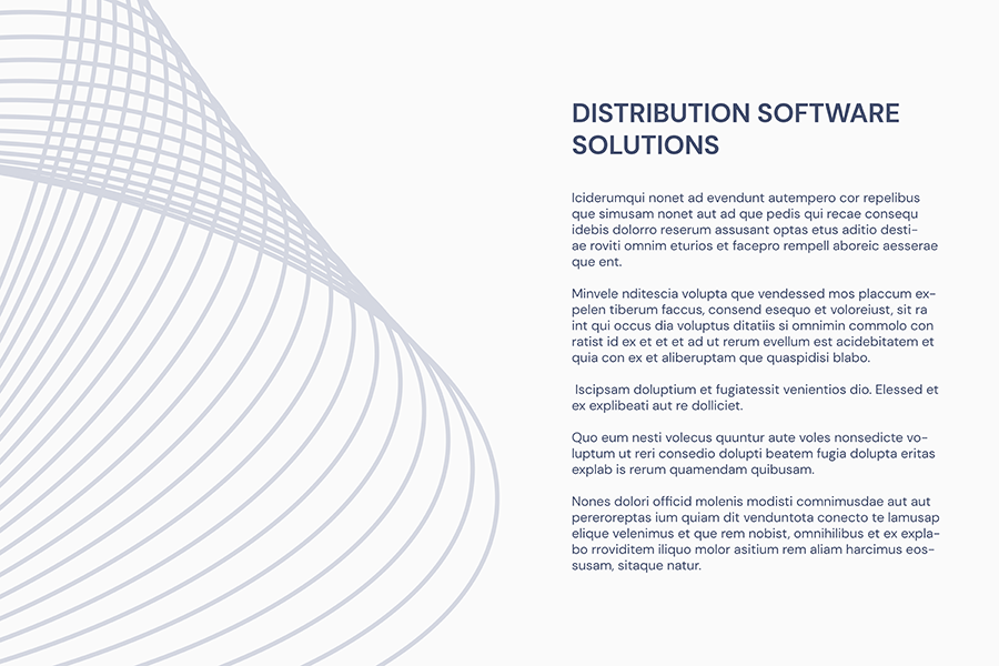 Presentation Slides - Distribution Software Solutions