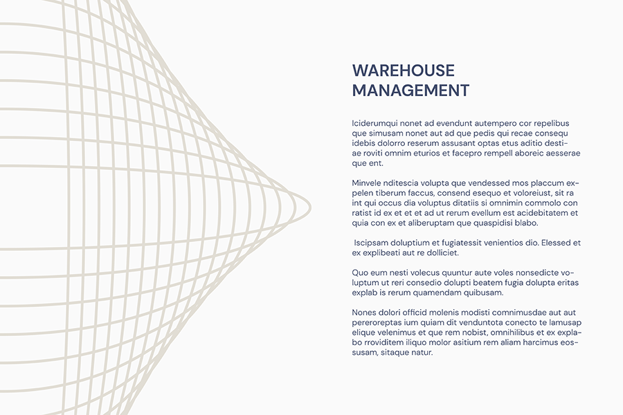 Presentation Slides - Warehouse Management