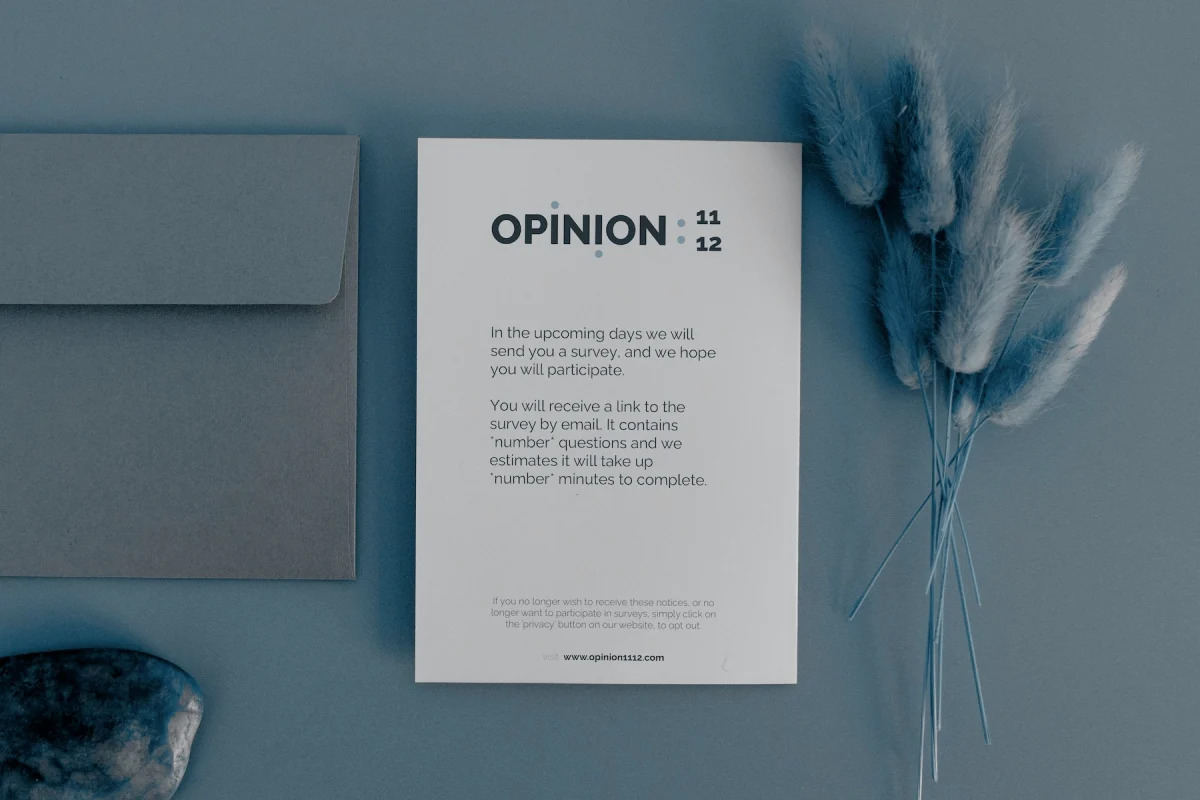Direct mailers - mockup - Opinion 1112
