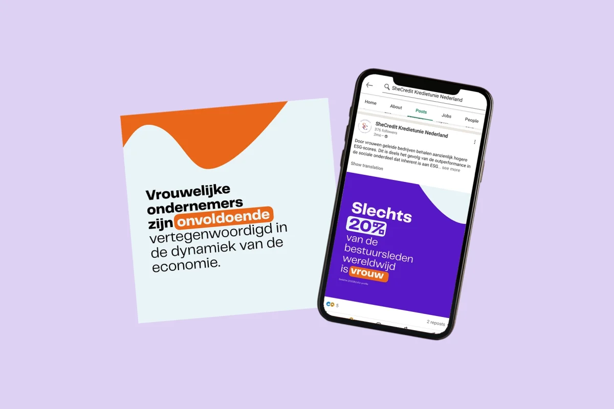 SheCredit LinkedIn Social Media Posts (2024)