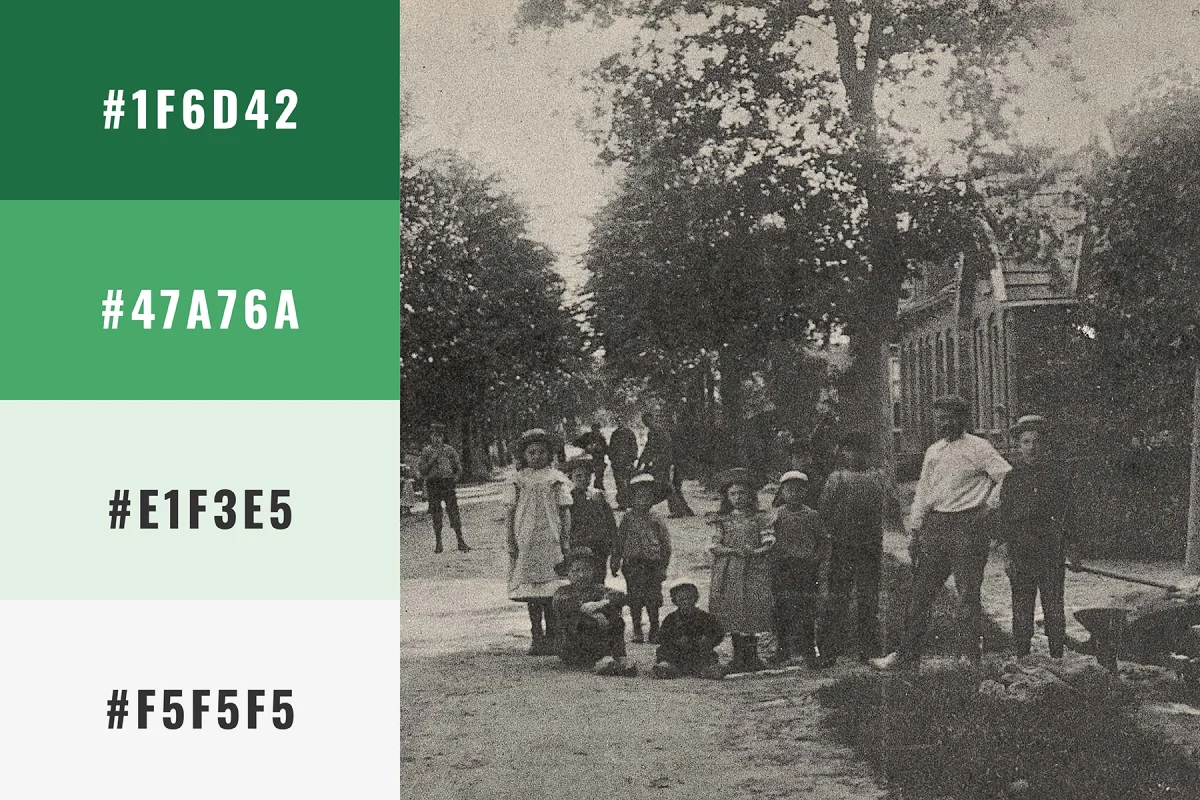 Stamboom Snip Color Palette (2024)