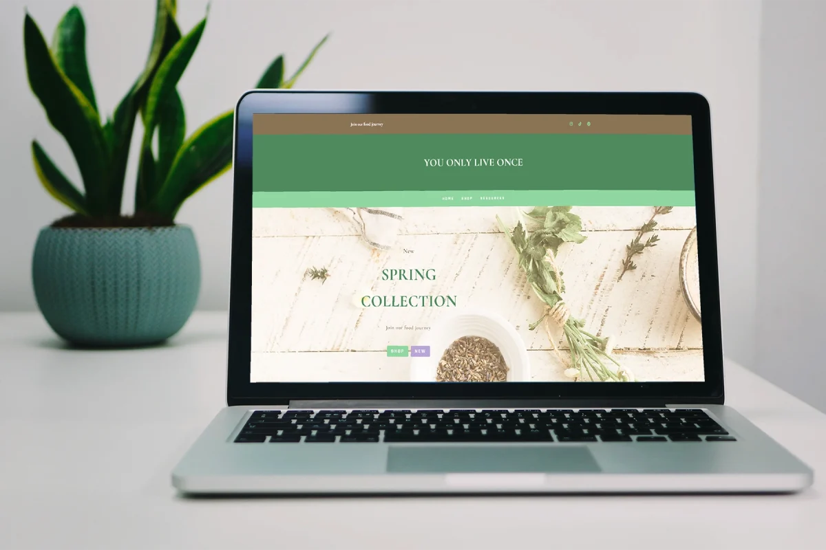 You Only Live Once website mockup